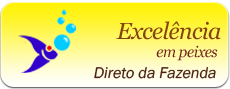 Excelencia em Peixe Excelencia em Peixe