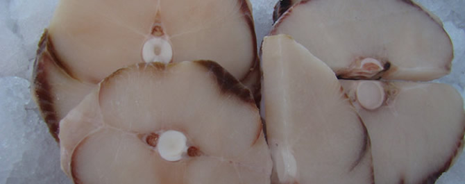 pescados